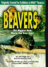 Beavers (Imax)
